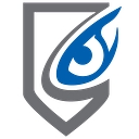 STT Security Services logo