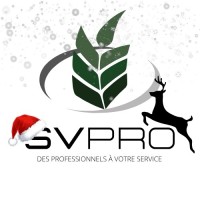SV-PRO logo