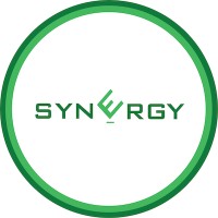 Synergy Services logo