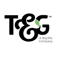 T&G Global Limited logo