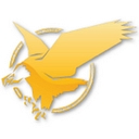 Team Eagle Ltd. logo