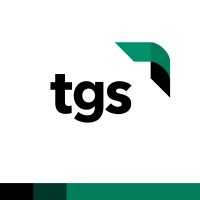 Team Geek Solutions logo