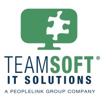 TeamSoft logo