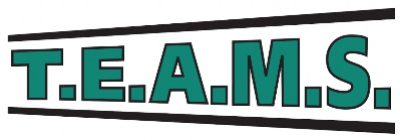 TEAMS Transport logo