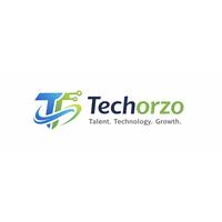 techorzo logo