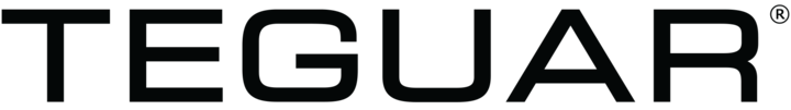 Teguar Corporation logo