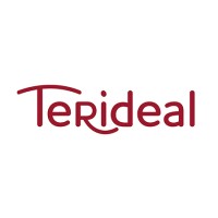 Terideal logo