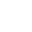 The Access Project logo