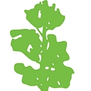 The Co-op School logo