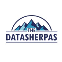 The Data Sherpas logo