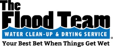 The Flood Team logo