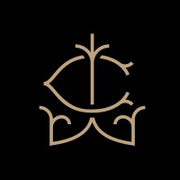 The Life Curators logo