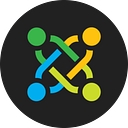 The Link: Youth and Family Supports logo
