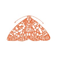 The Moth logo