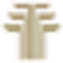 Tempo Group logo