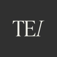 Third Eye Insights Inc. logo