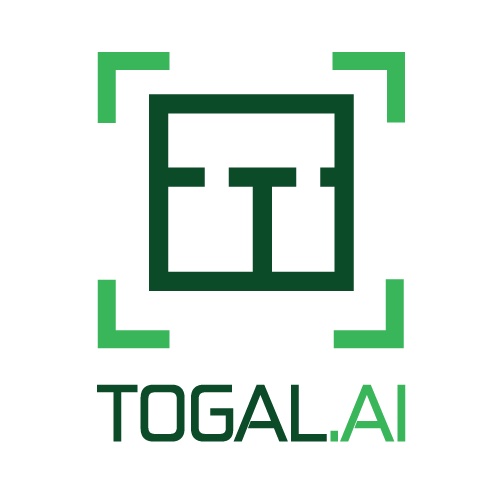 Togal AI