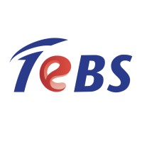 Total eBiz Solutions logo