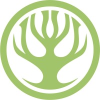 Transilvania Healing Centre logo