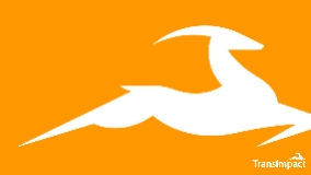TransImpact logo