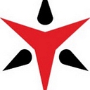 TrapWire Inc. logo