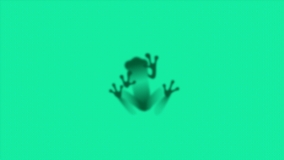 TreeFrog Therapeutics logo