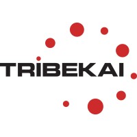 TRIBEKAI logo