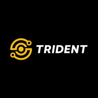 Trident Systems Inc logo