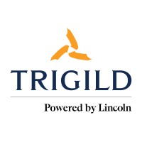 Trigild logo