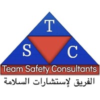 Team Safety Consultants LLC Logo