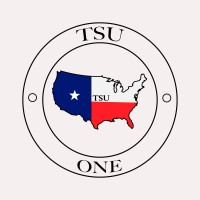 TSU ONE logo