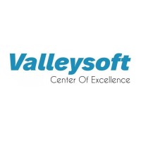 Valleysoft | Center of Excellence logo
