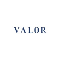 VALOR Partners Oy logo