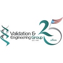 Validation & Engineering Group logo