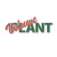 Logo VeluwePlant