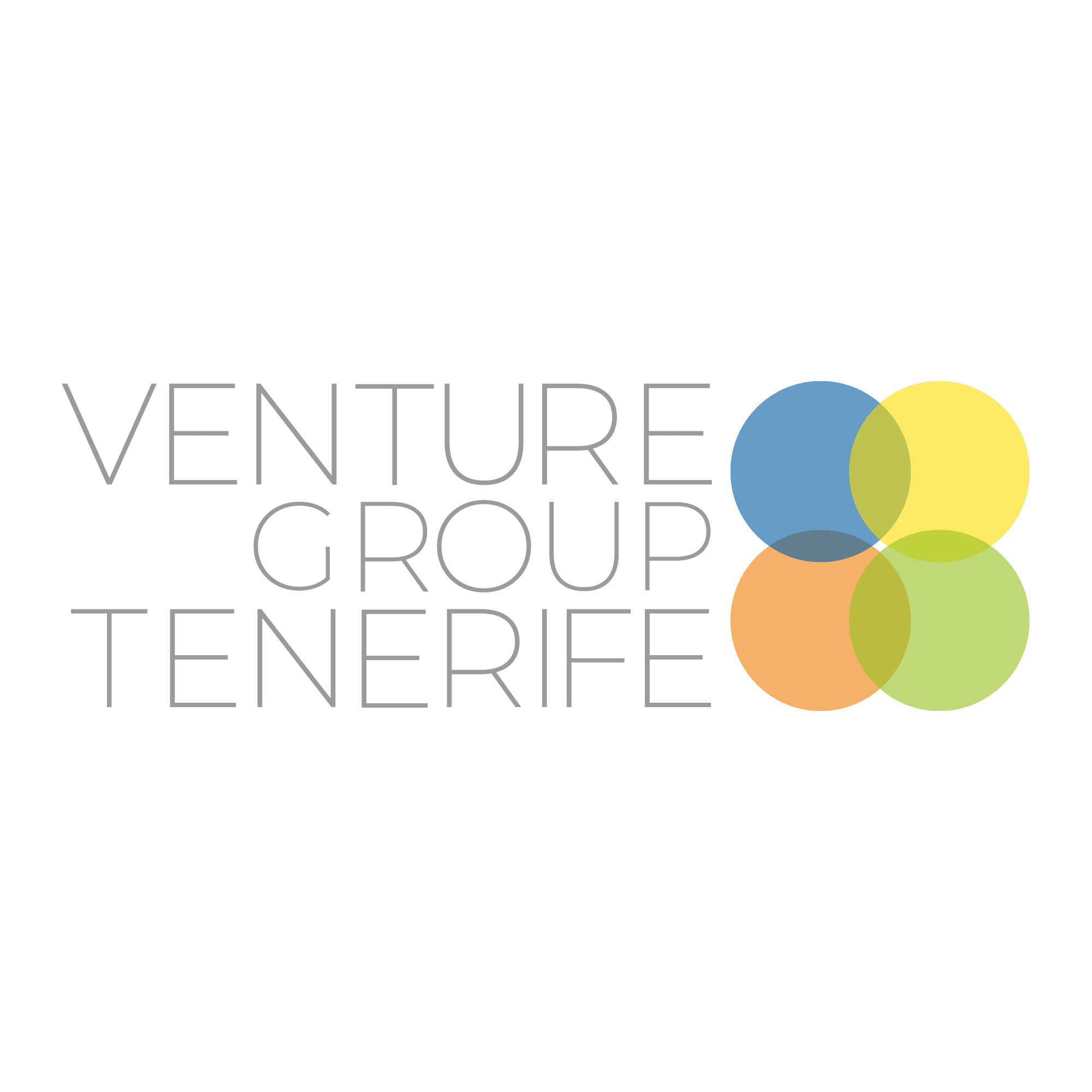 Venture Group Tenerife logo