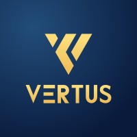 Vertus Engineering Services Private Limited logo