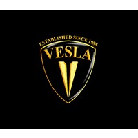 VESLA MOTORS L.L.C logo