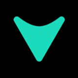 Vialto Partners logo