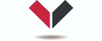 Vigor, LLC logo