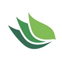 Vinea Capital logo