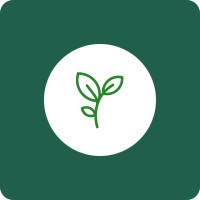 VineHR Ltd. logo