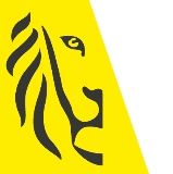 Digitaal Vlaanderen logo