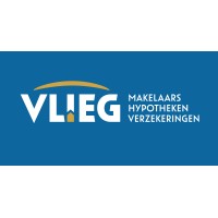 Logo VLIEG Advies Groep
