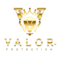 Valor Protection Safety Agency logo