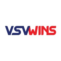 VSV WINS, INC logo