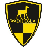 Wadi Degla Clubs Company S.A.E. logo