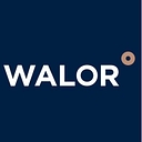 Walor Irapuato logo