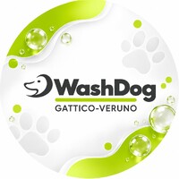 WashDog Gattico-Veruno
