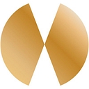 Watch Station International logo